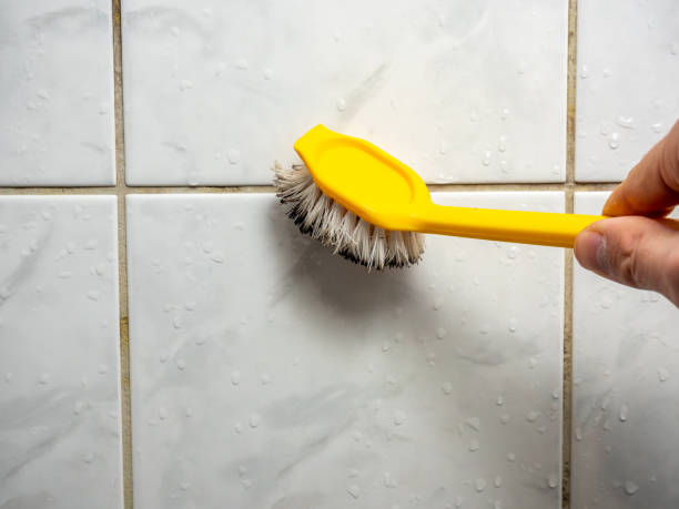 Best Home Mold Removal  in Cordova, NC