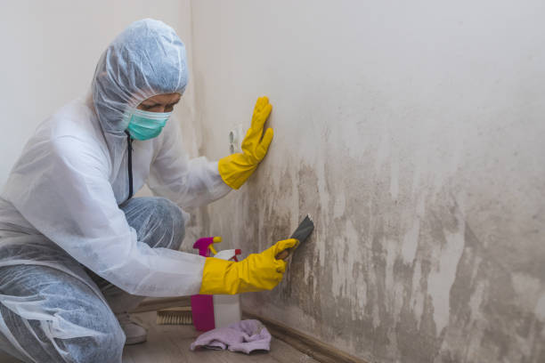 Best Residential Mold Removal  in Cordova, NC