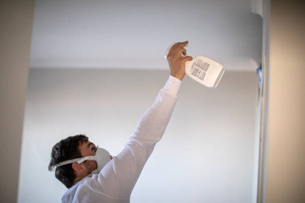 Mold Testing and Removal in Cordova, NC