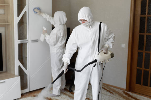 Certified Mold Removal in Cordova, NC