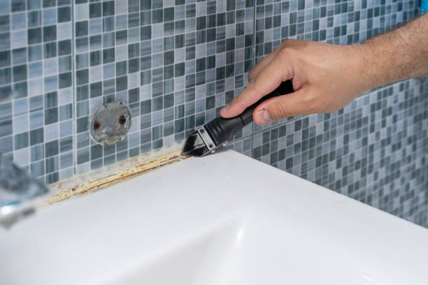 Best Mold Damage Repair  in Cordova, NC